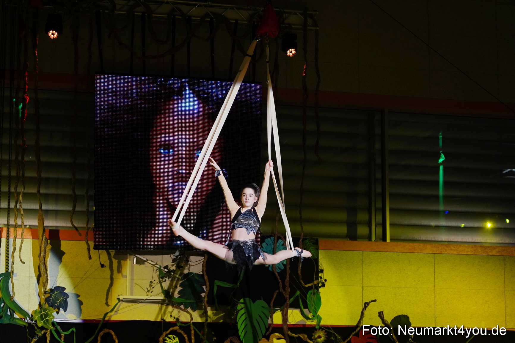 Artico Artistical Dschungelbuch 2020 0175